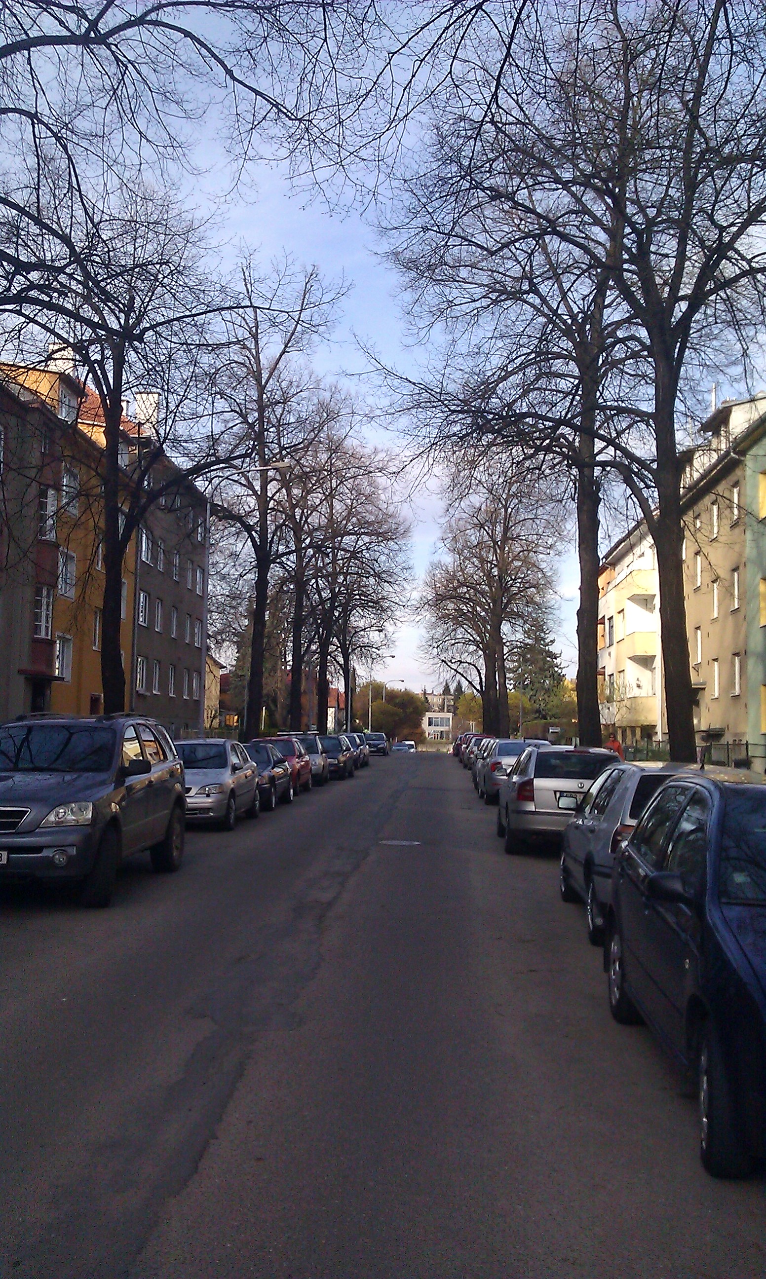 Ulice Krkoškova